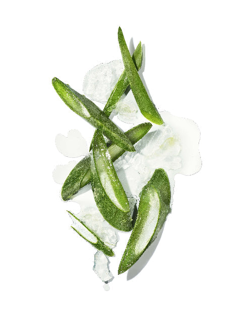 Green okra pods for Botanical styling cream for flexible hold and curl enhancement