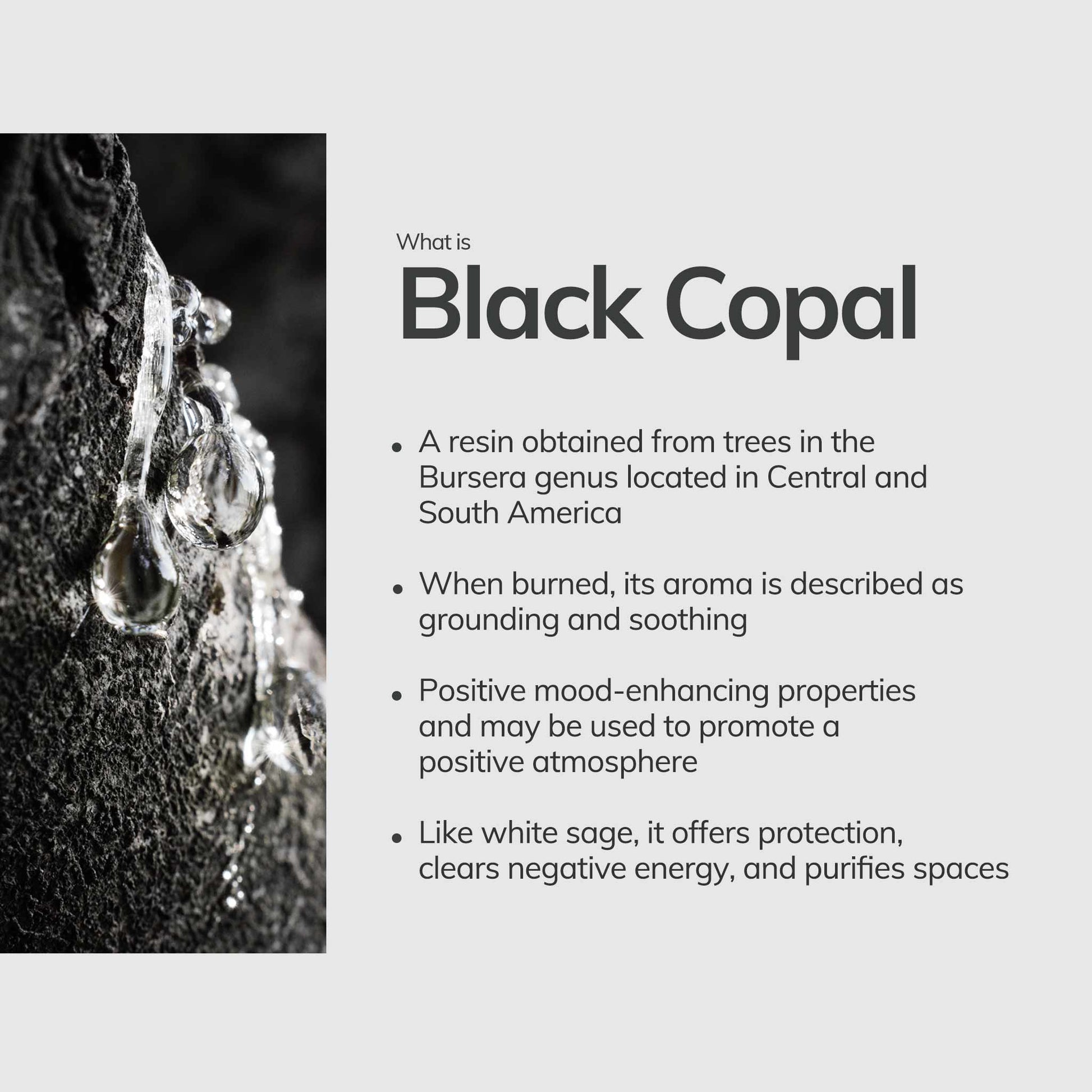 descriptive text explaining what is black copal