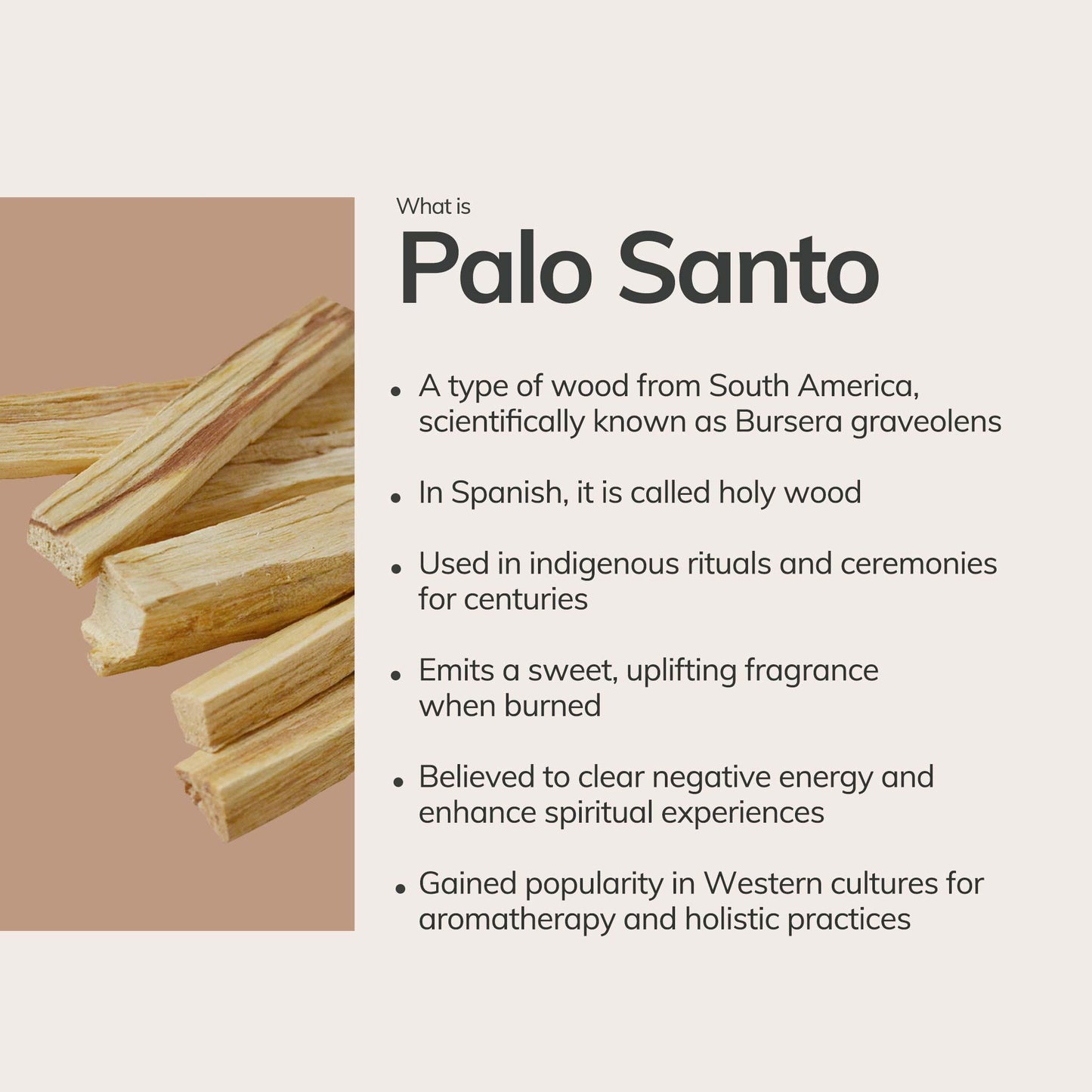 Wooden sticks labeled 'Palo Santo' with descriptive text