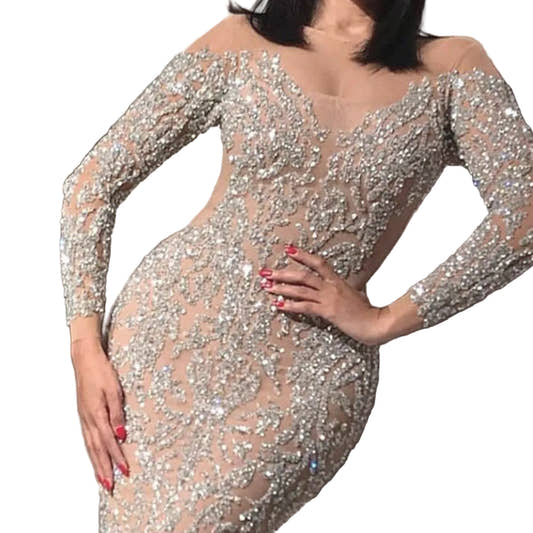 All-over rhinestone sequin long sleeve slim fit midi dress – close-up of botanical embellishment on sheer nude mesh base
