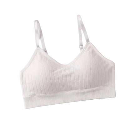 Wire-free padded bralette laid flat showing back design
