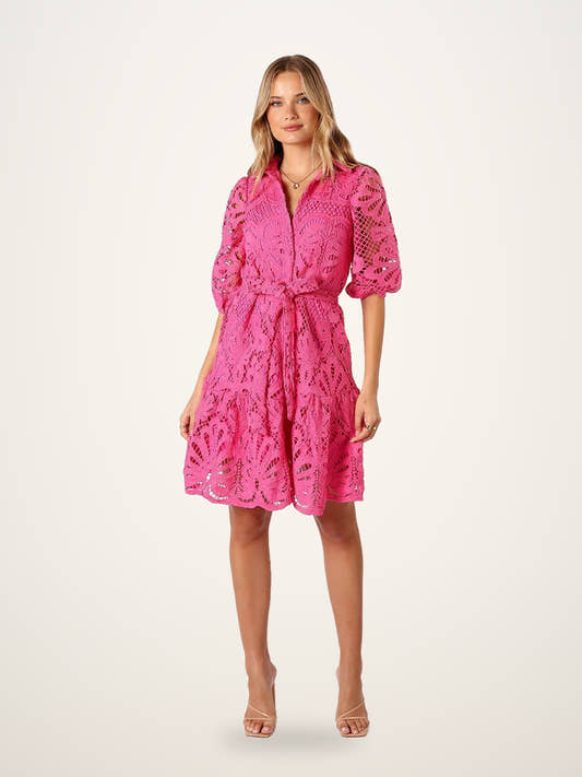 Floral Lace Lantern Sleeve Dress