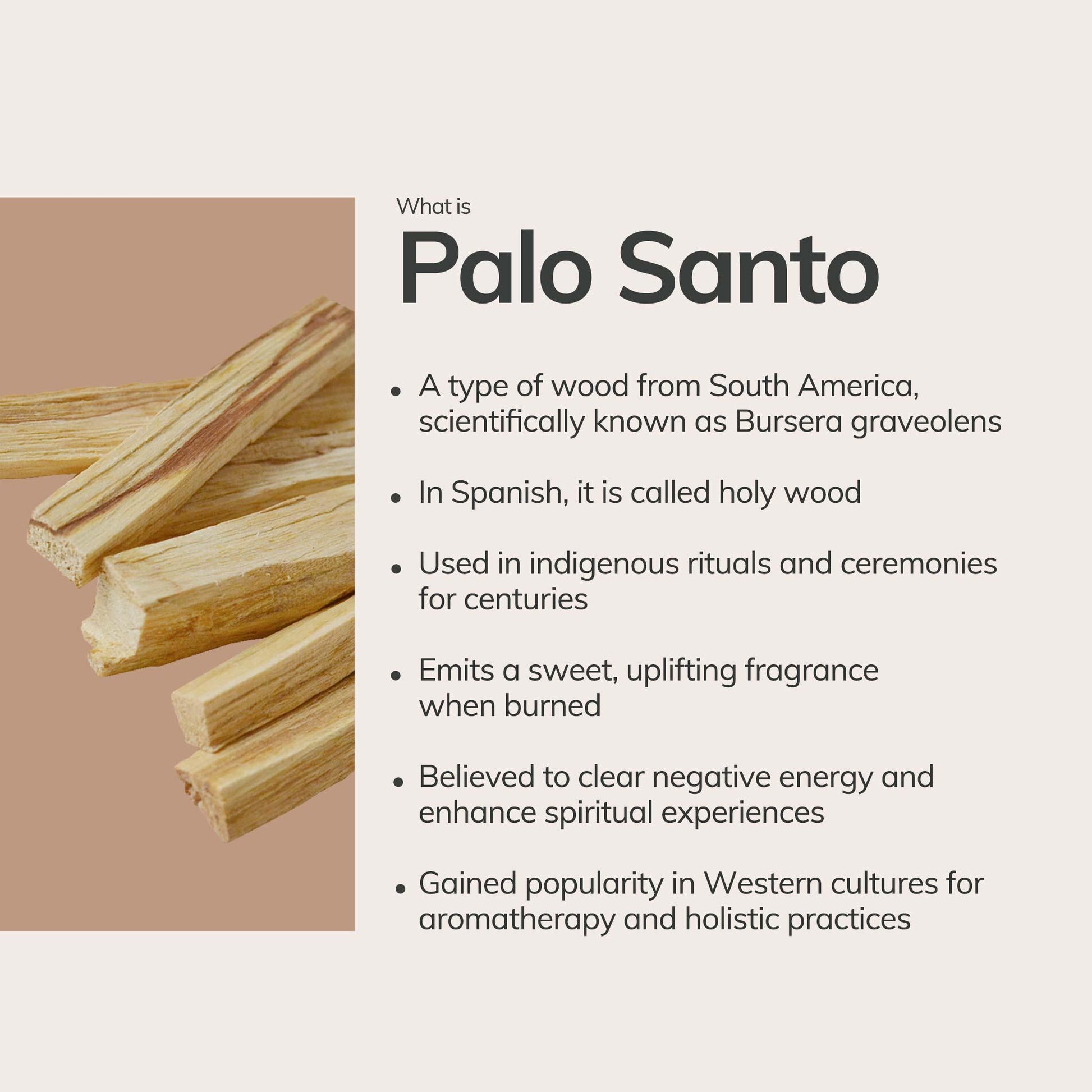 Wooden sticks labeled 'Palo Santo' with descriptive text 
